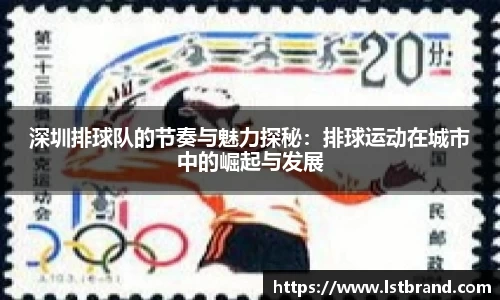 深圳排球队的节奏与魅力探秘：排球运动在城市中的崛起与发展